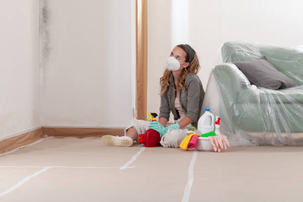 Reliable Mold Cleanup contractor in Stony Creek, VA by WQB Mold Removal